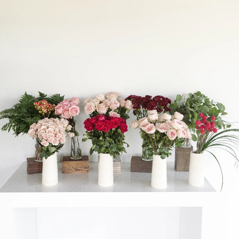 Butterfly Diy Combo Recipe - Image