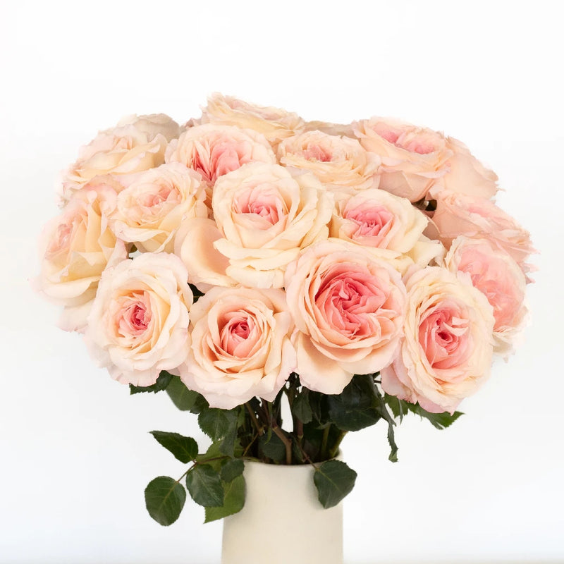 Cabbage Rose Shell Pink Vase - Image