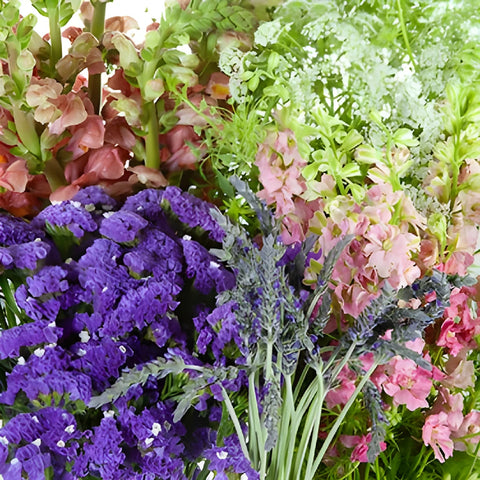 California Wilflower DIY Flower Kit Up Close