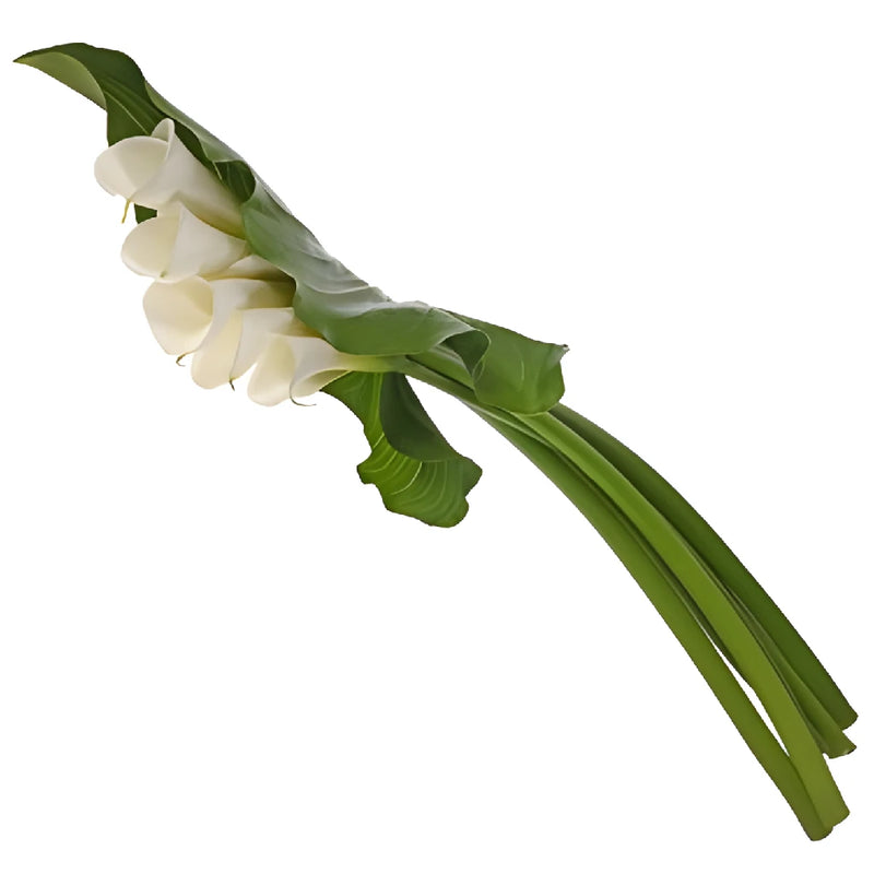 Cascading Calla Lily and Leaf Flower Centerpieces