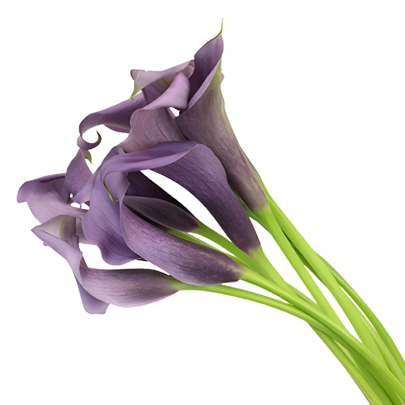 Vintage Purple Mini Calla Lily Flower