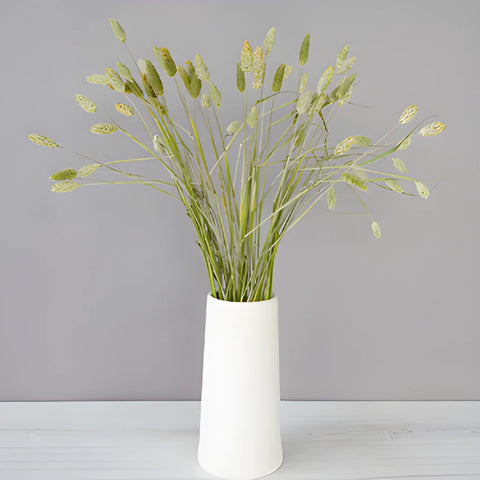 Bulk greenery bunch of canary wholesale grass filler flowers