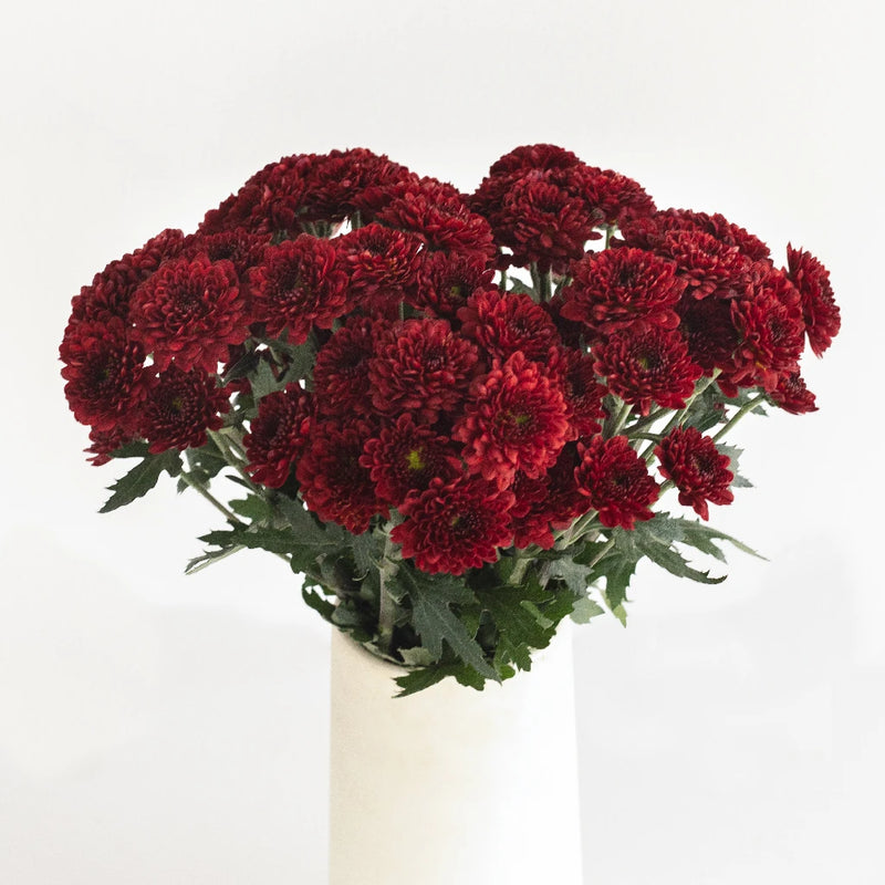 Cancun Mini Button Pom Red Flower Vase - Image