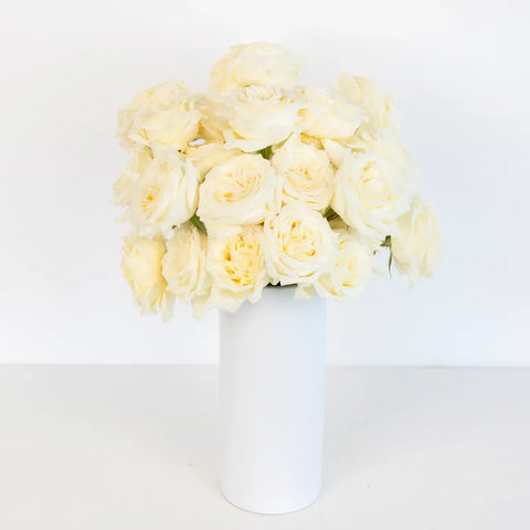 Candlelight Cream Roses Vase - Image