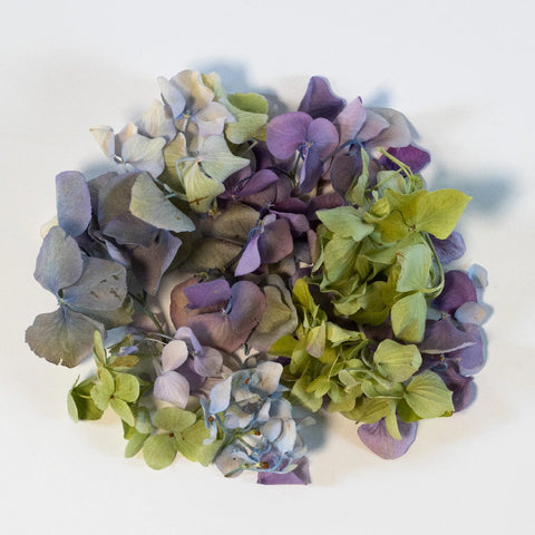 Candy Hydrangea Dried Petals Stem - Image
