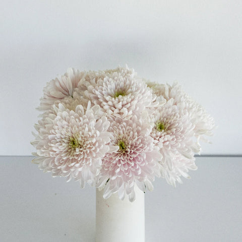Candyfloss Vase - Image