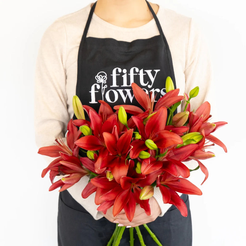Carmina Red Hybrid Lily Apron - Image