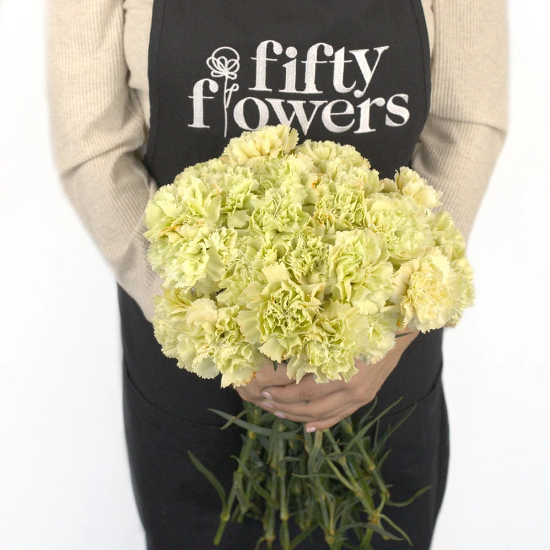 Carnation Flowers In Bulk Antique Peach Apron - Image