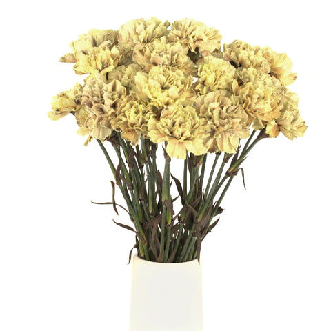 Carnation Flowers In Bulk Antique Peach Vase - Image