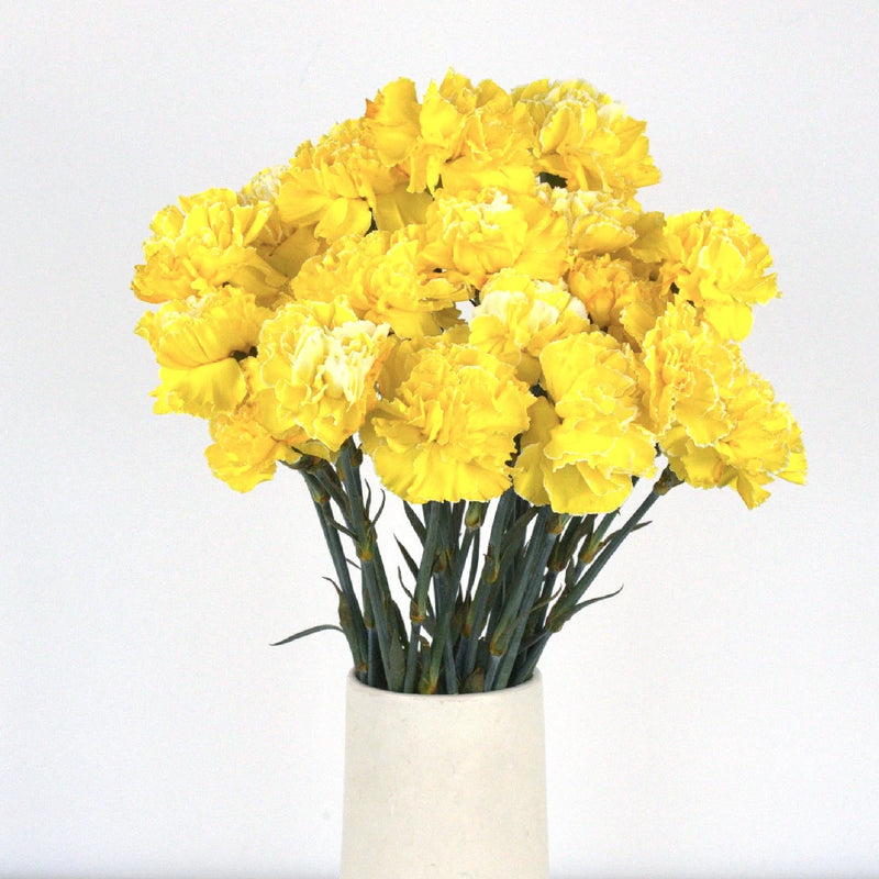 Carnation Flowers Yellow Enhanced Vase - Image