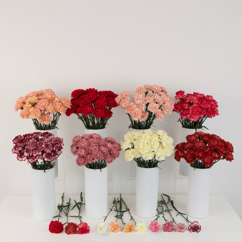 Carnations For Mother's Day Vase - Image