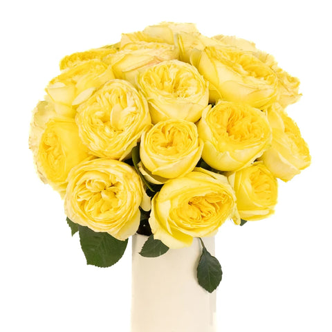 Catalina Beach Garden Rose Vase - Image