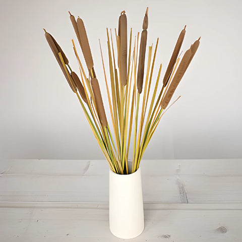 Natural Bulk Filler Cattails