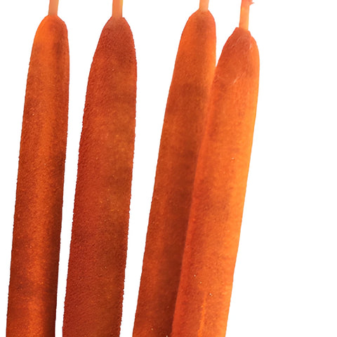 Orange Airbrushed Cattails