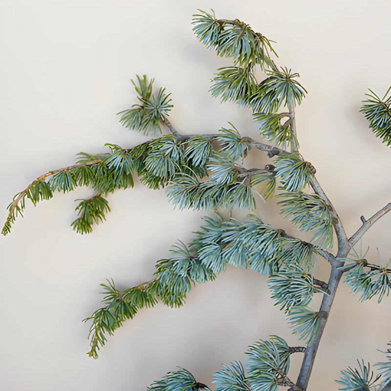 Wholesale greenery blue cedar winter filler flowers sold as bulk