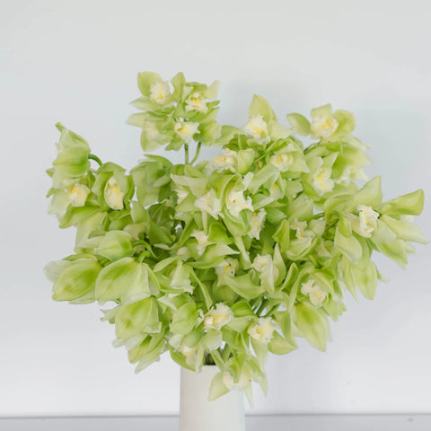 Chartreuse Green Cymbidium Orchid Vase - Image