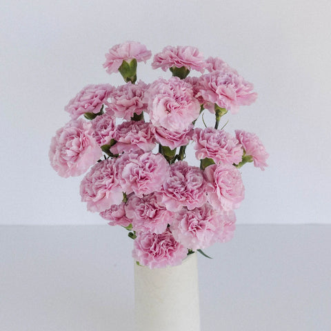 Cherry Blossom Carnations Vase - Image