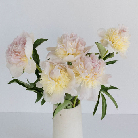 Cherry Blossom Peony Vase - Image