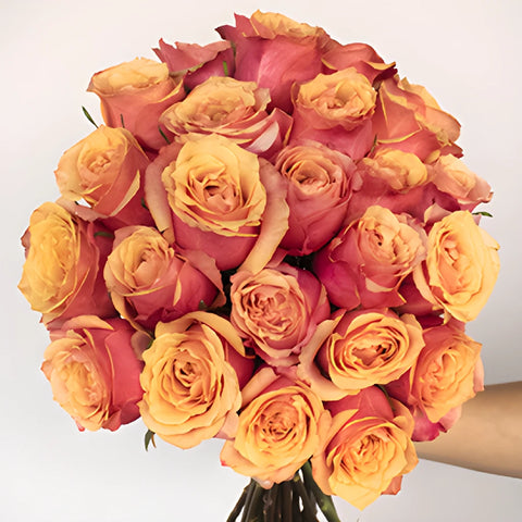 Aphrodites Love Potion Bicolored Rose Bouquet