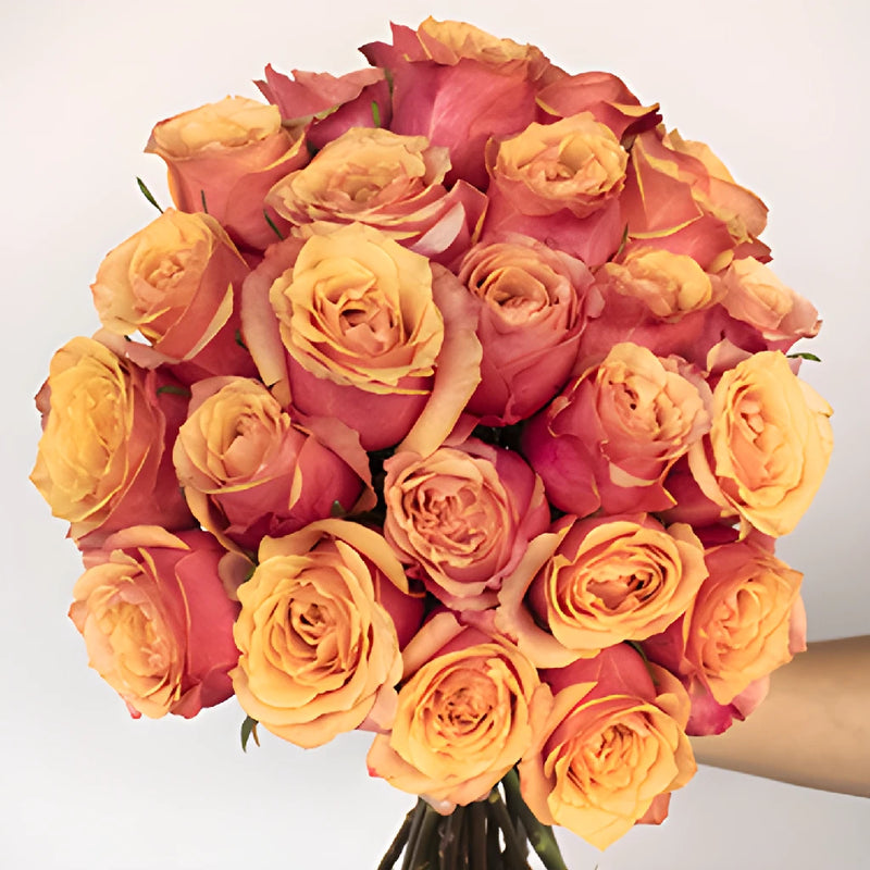 Aphrodites Love Potion Bicolored Rose Bouquet
