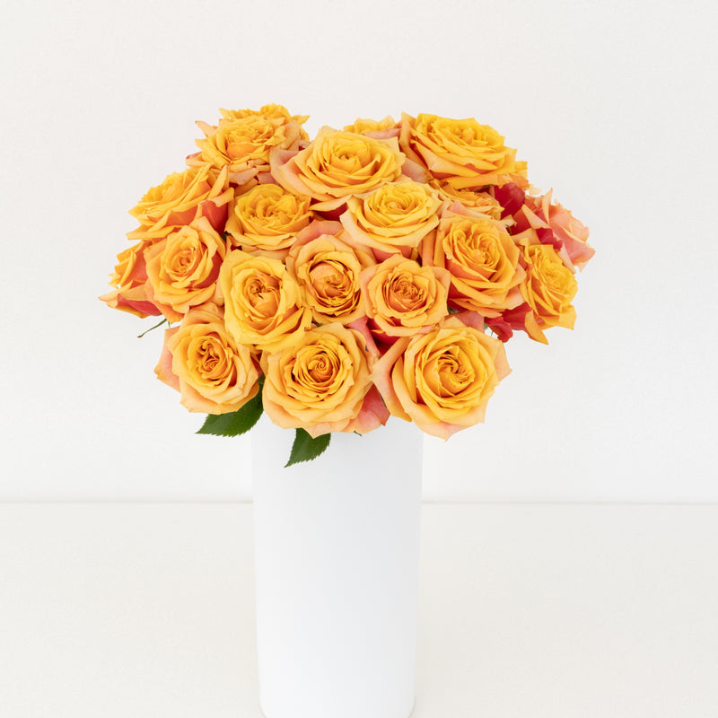 Cherry Brandy Sunkissed Rose Vase - Image