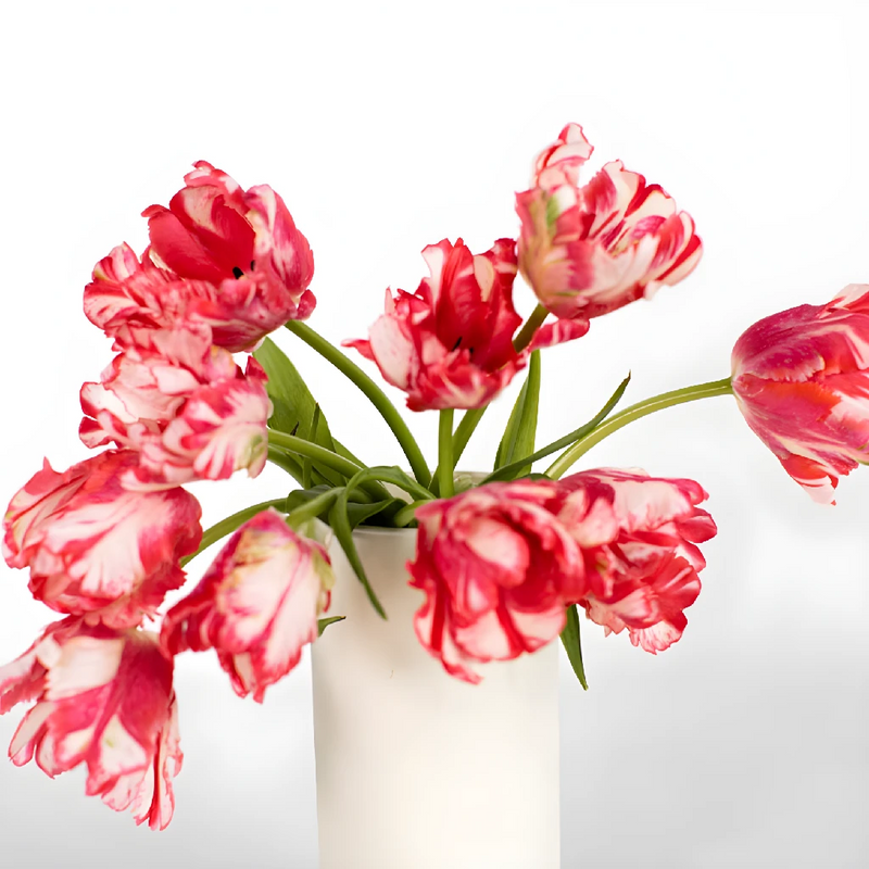 Cherry Splash Parrot Tulip Vase - Image