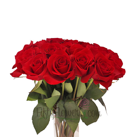 Cherry Love Red Rose