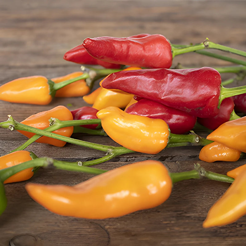 Fresh cut chili pepper wholesale fall greens for sale near me