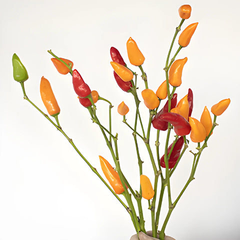 Bulk greenery chili pepper wholesale fall greens bunch sold for delivery