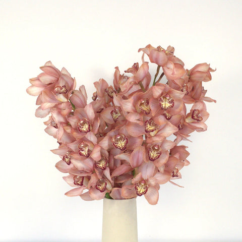 Chocolate Browny Cymbidium Orchid Vase - Image