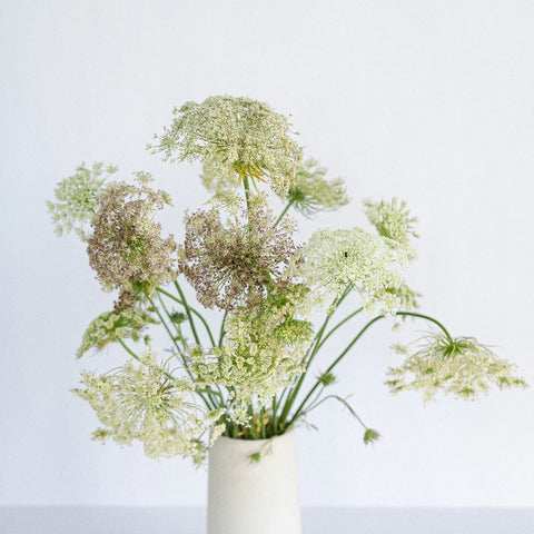 Chocolate Lace Flower Vase - Image
