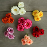 Choose Your Own Spray Bulk Roses