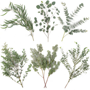 Choose Your Own Eucalyptus Diy Greenery Kit Vase - Image
