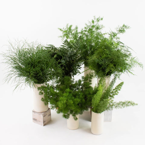 Choose Your Own Fern Greenery DIY Flower Kit Recipe
