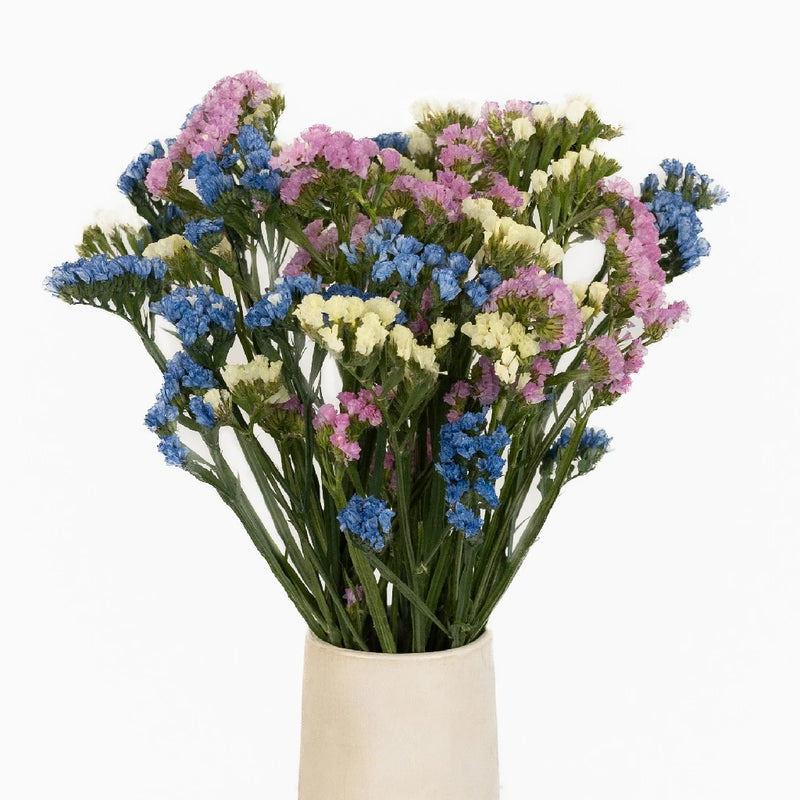 Choose Your Own Statice Flower Pack Stem - Image