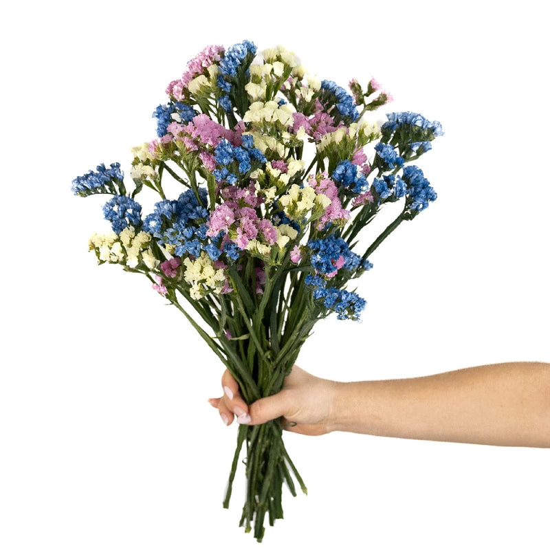 Choose Your Own Statice Flower Pack Vase - Image