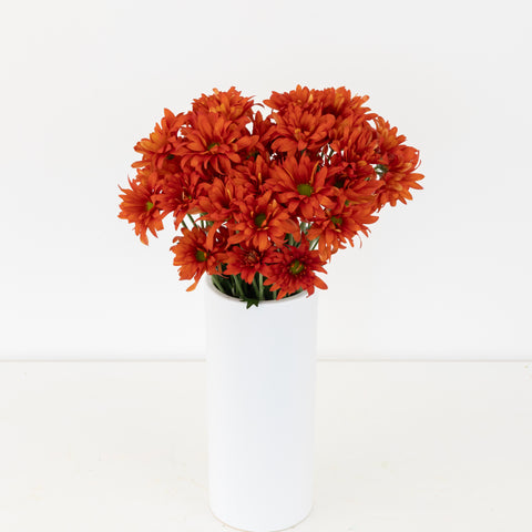 Cinnabar Daisy Flower Apron - Image