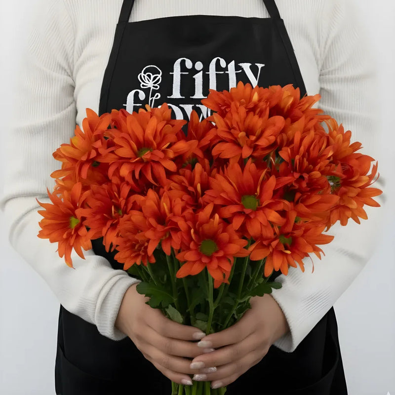 Cinnabar Daisy Flower Apron - Image