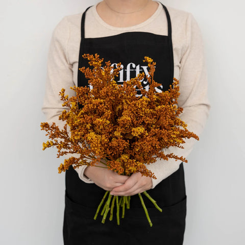 Cinnamon Bark Tinted Solidago Flowers Apron - Image