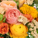 Citrus Punch Flower Collection