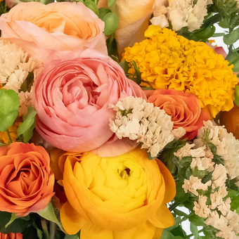 Citrus Punch Flower Collection