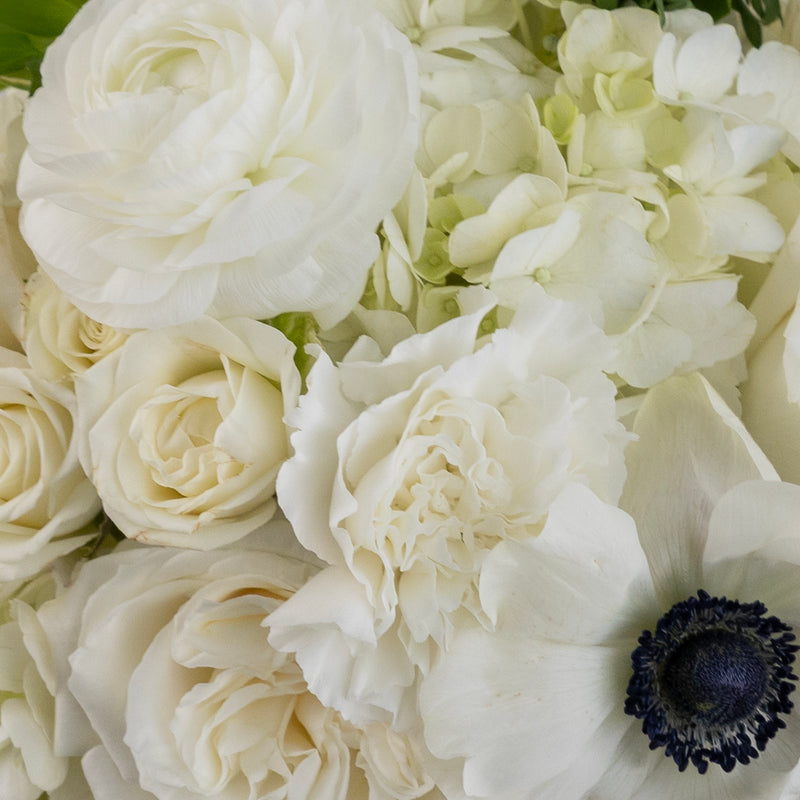 Classic Black And White Diy Flower Kit Close Up - Image