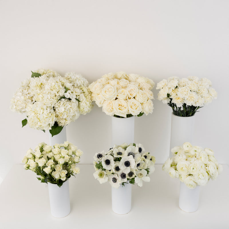 Classic Black And White Diy Flower Kit Stem - Image