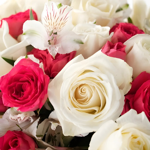 Classic Dozen Or More Rose Bouquet Close Up - Image