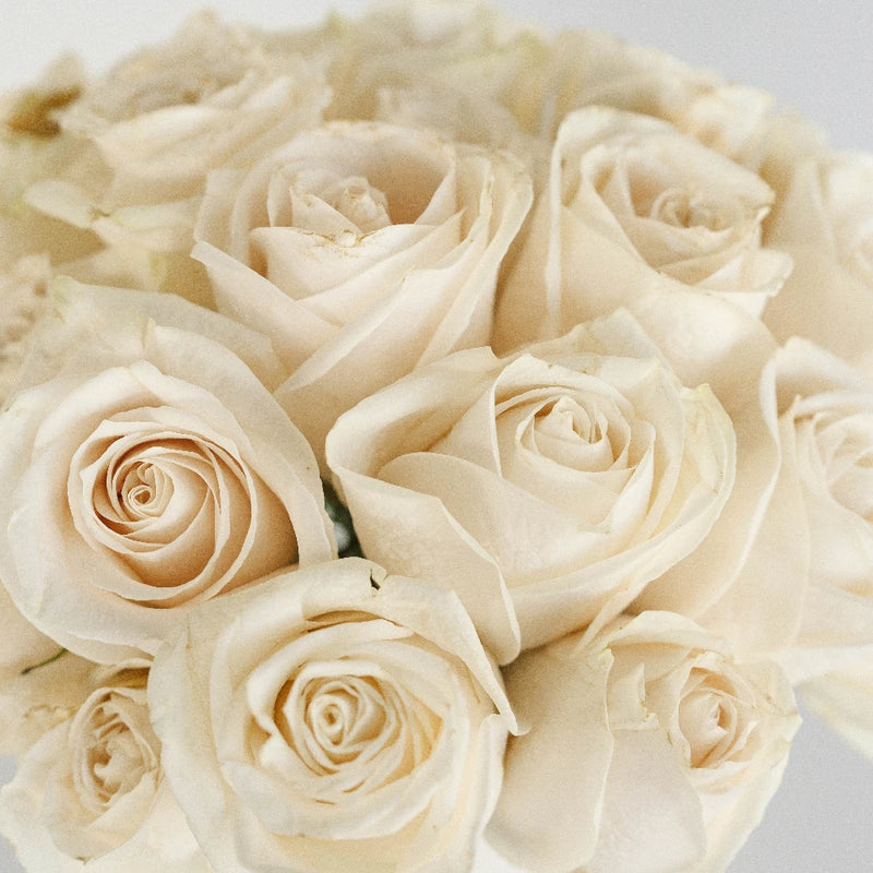 Buy Wholesale Classic Roses Wedding Collection in Bulk - FiftyFlowers
