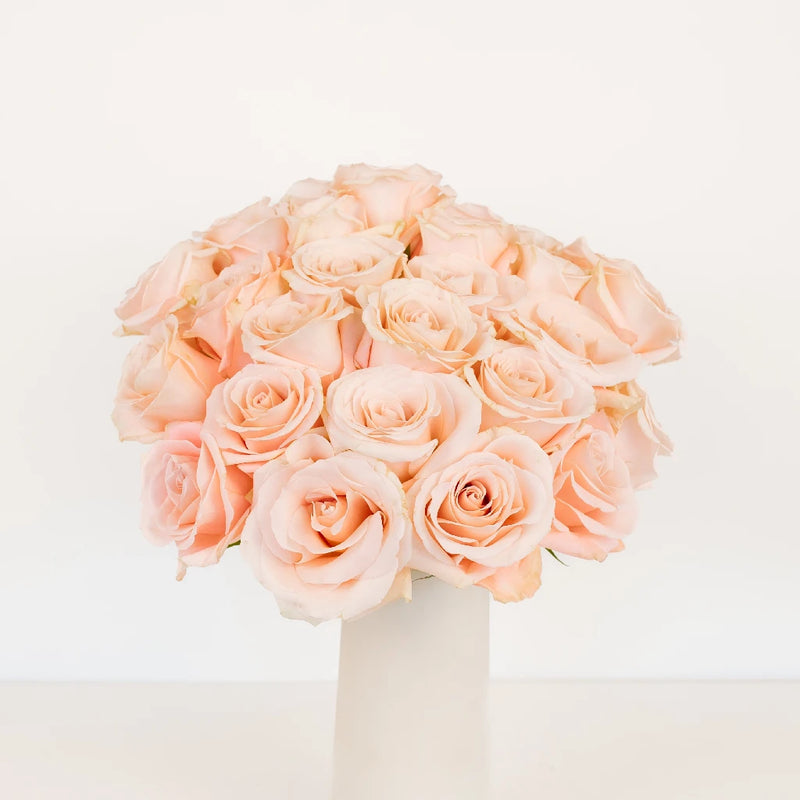 Cleo Roses Vase - Image