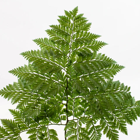 Victorian Lacey Leather Greenery