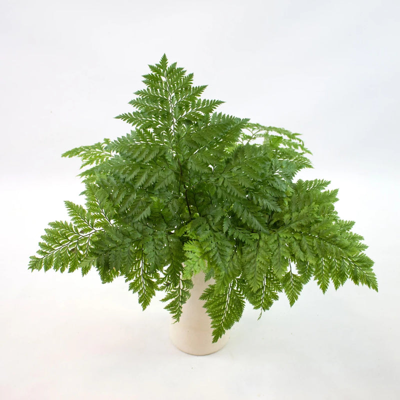 Victorian Lacey Leather Greenery