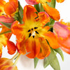 Orange Parrot Novelty Tulips