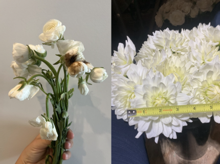 Image for page: Submit a Claim